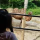 하늘이