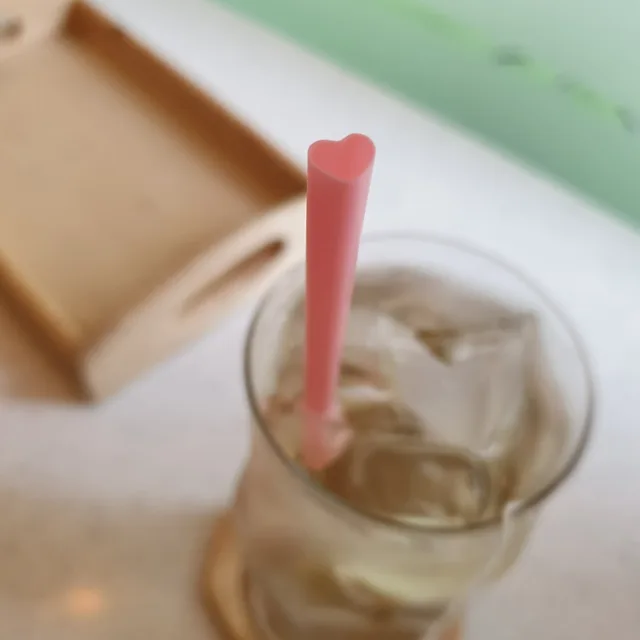 노오지