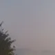 굿럭