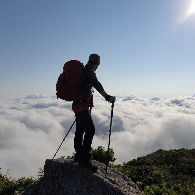 일산쫑