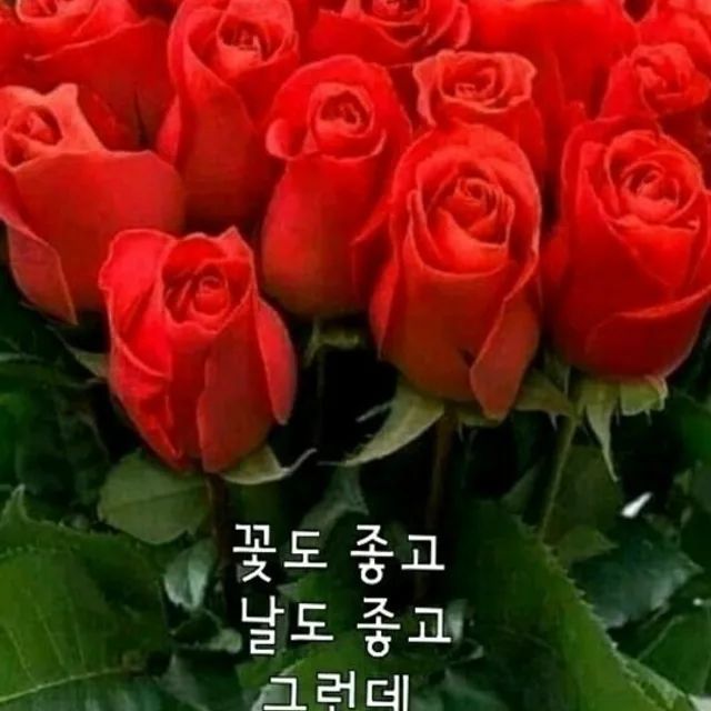 토마토