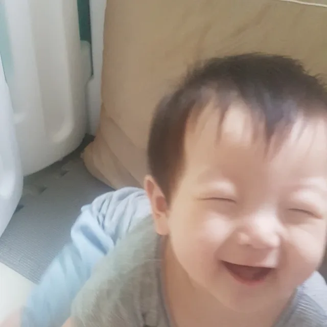 배르사체21