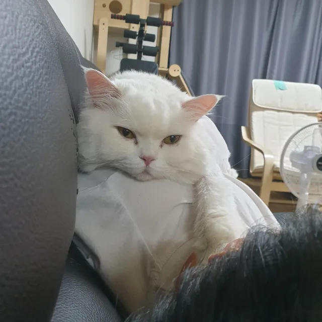 민여사