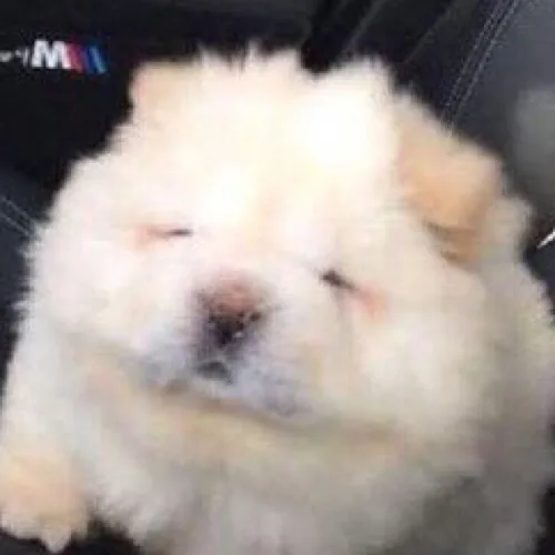 우짤