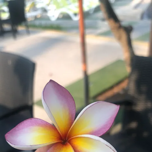 하하하하하