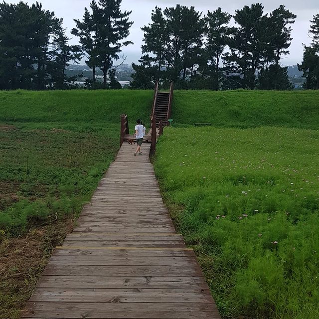 오이맘