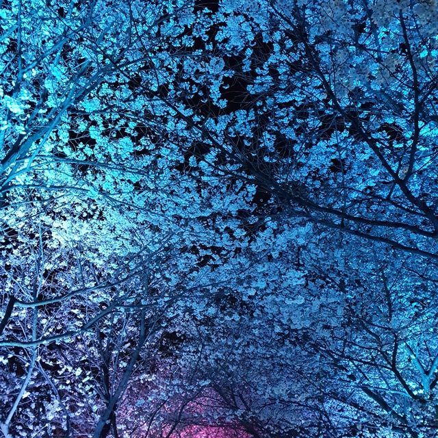 바람소리