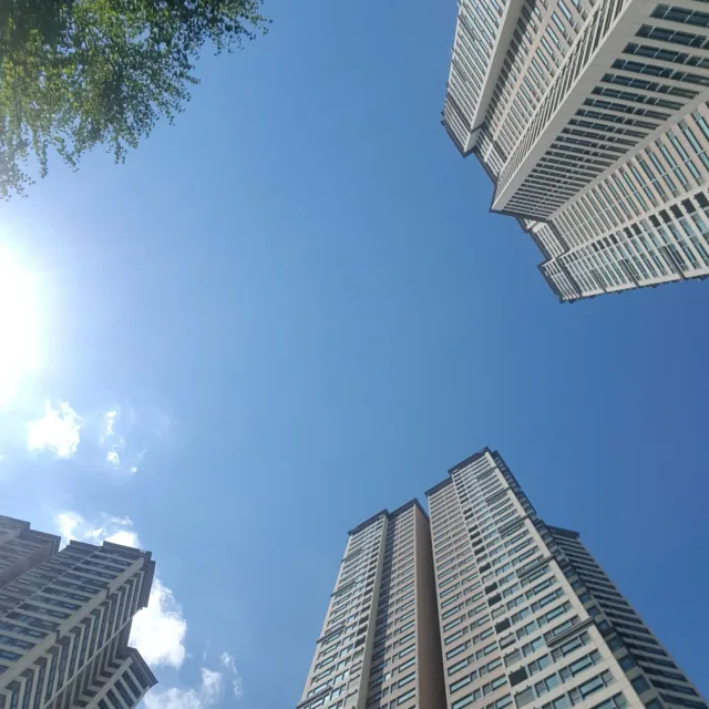 탕큰탕큰