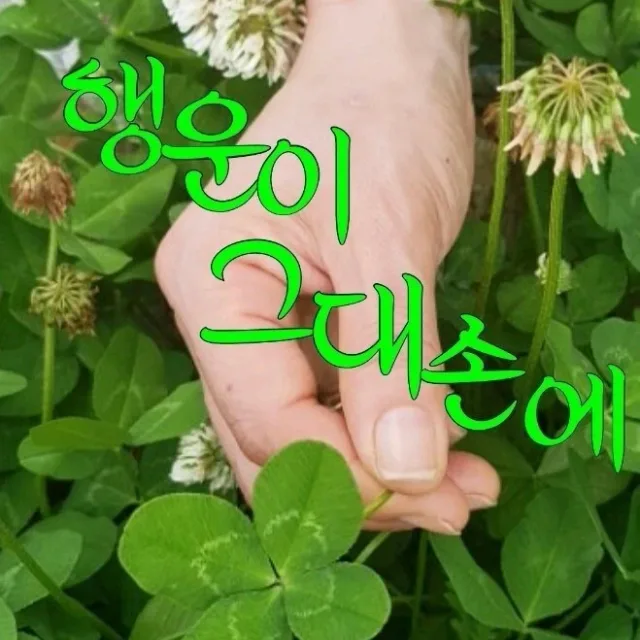 행운이그대손에