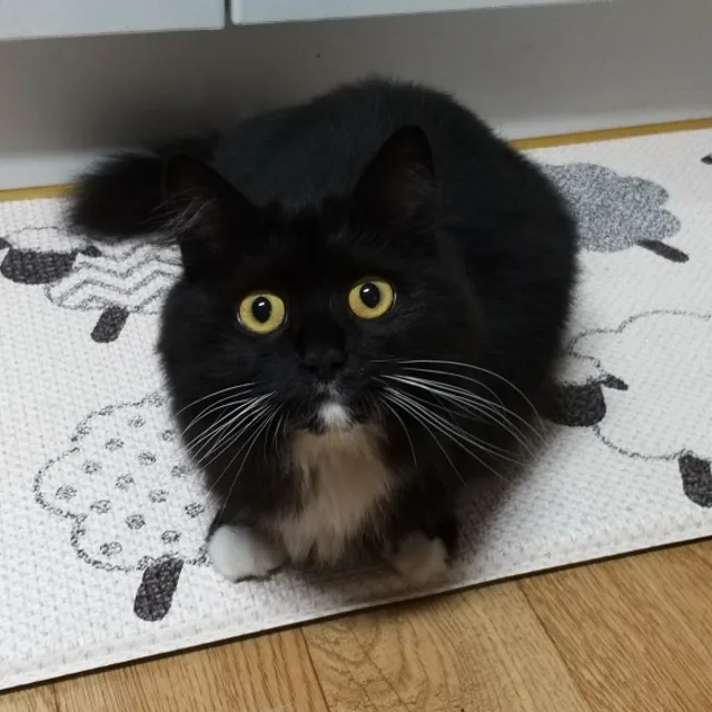 예린할매