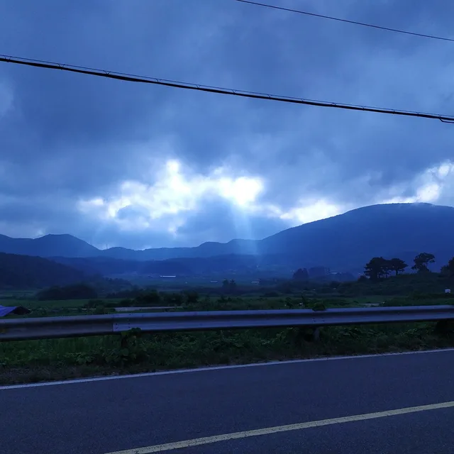 천하초보