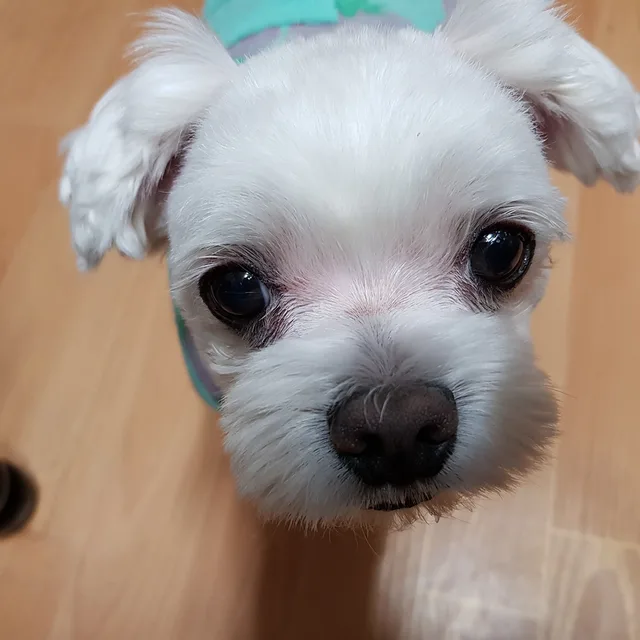 지나맘