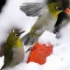생활환경보호