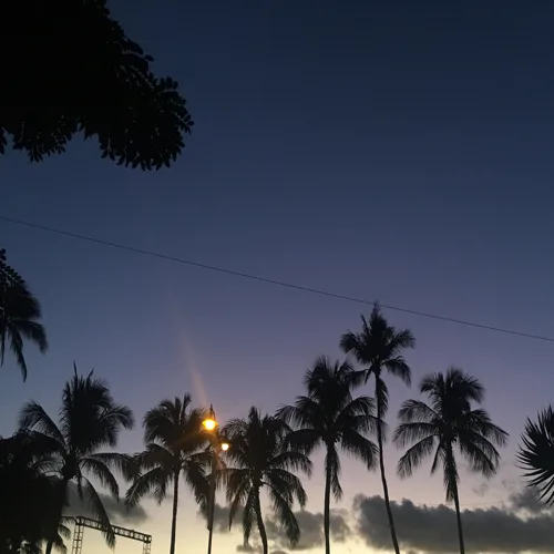 Aloha
