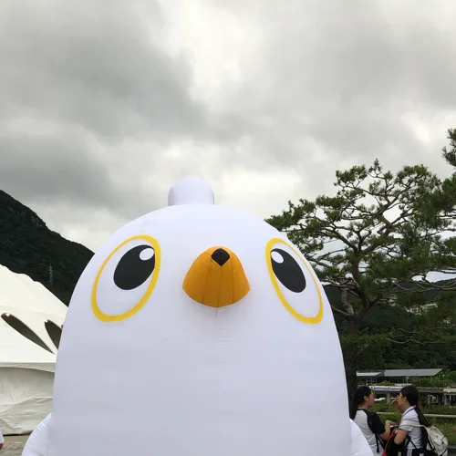 부산갈매기