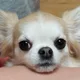 모모맘