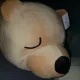 구피