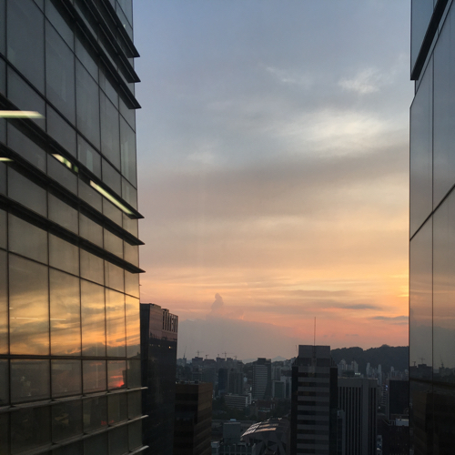 독한콩