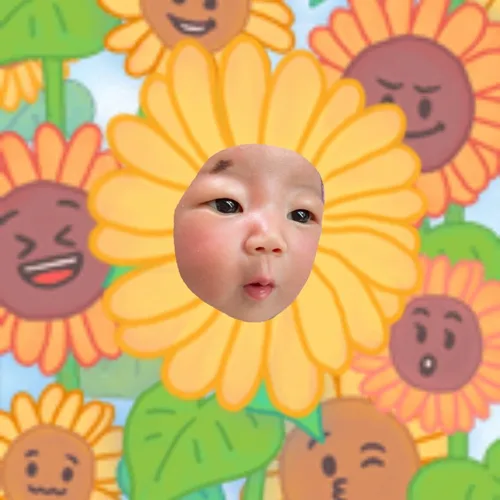 호우