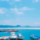 미니멀로숑