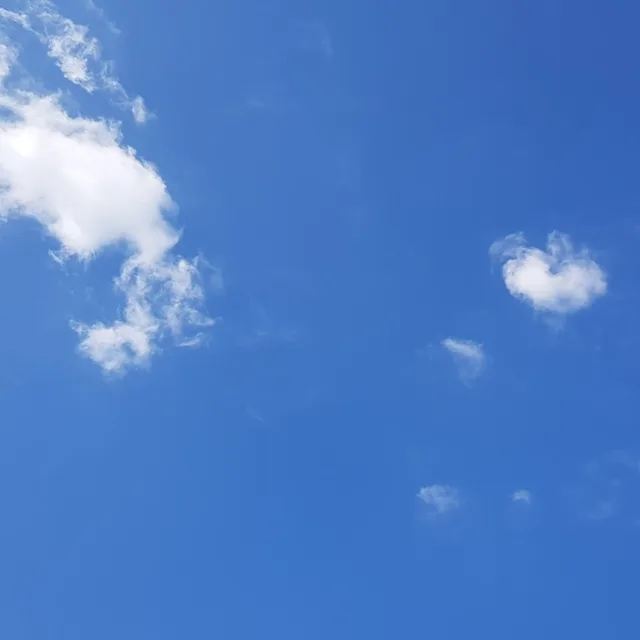 골드마켓