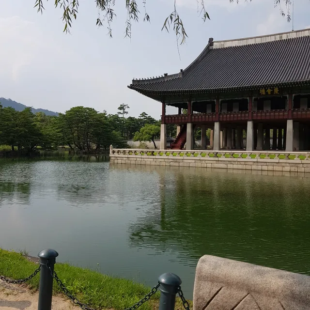 알리수학