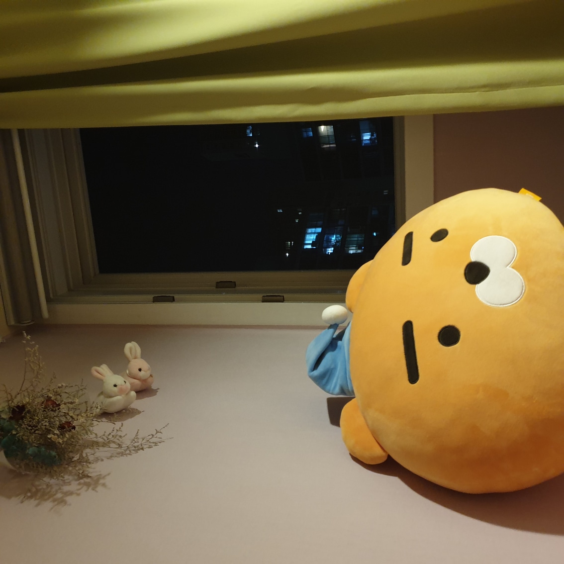 닥스
