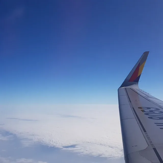 당근주세요