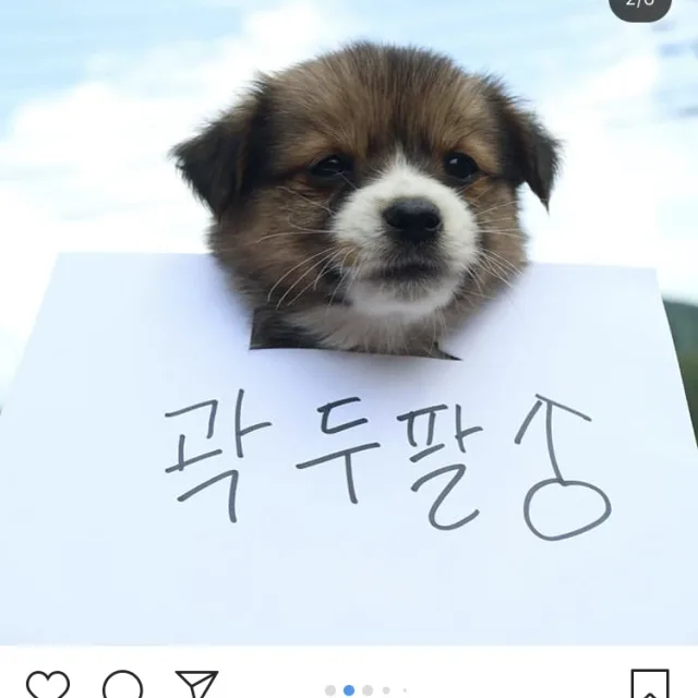 토리트윈스