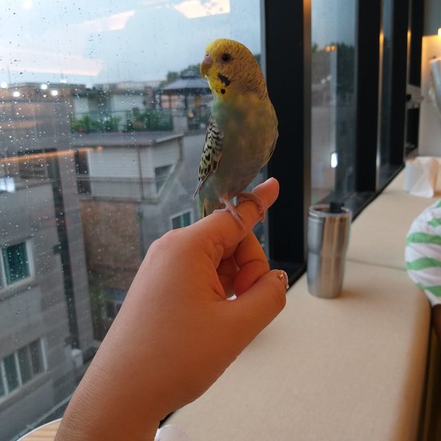 콩콩콩