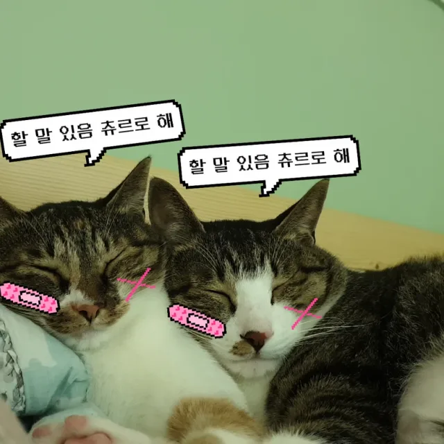 잇프제