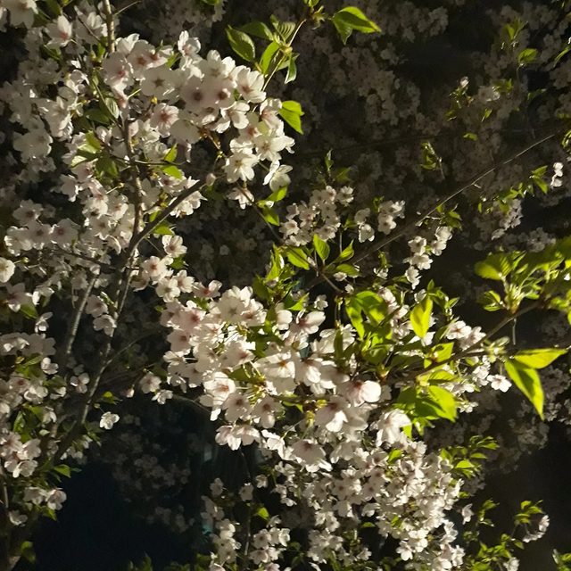 달순네