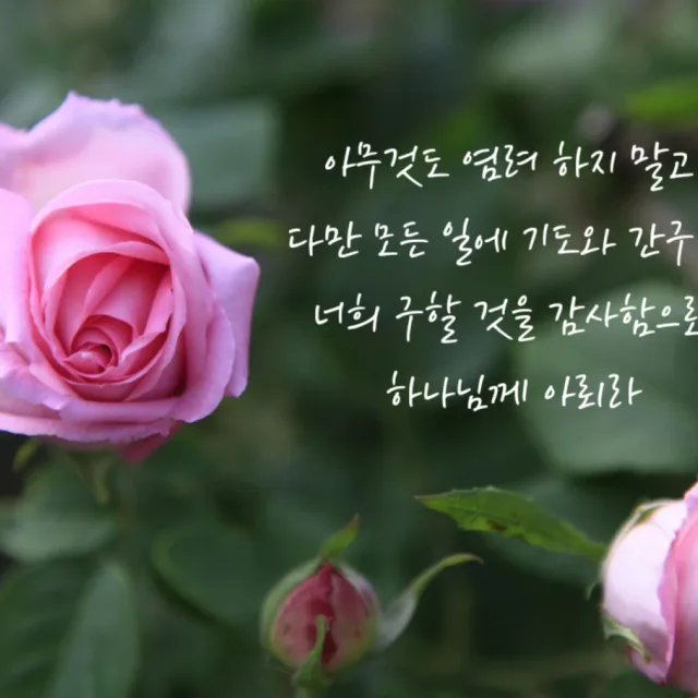 향수기