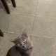 JK