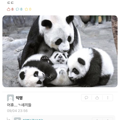 안뇽96