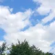 하하하하하