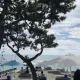 산삼먹고힘내자