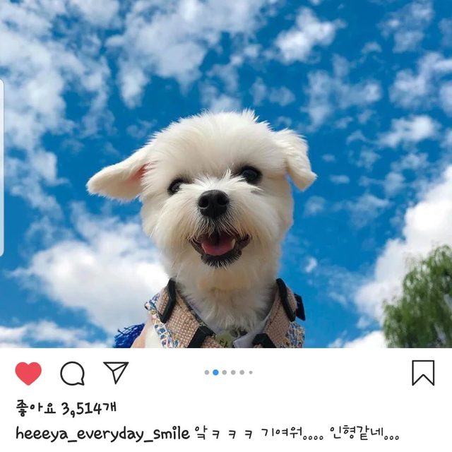 판매해용