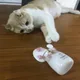 루이