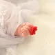 행복한오늘