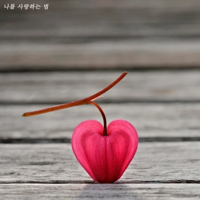 행복한남자