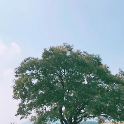 여니