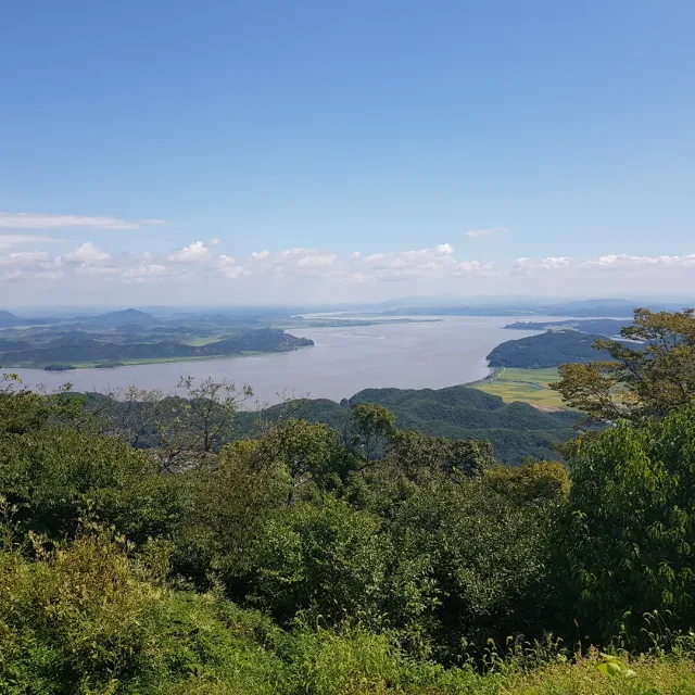 당근신뢰