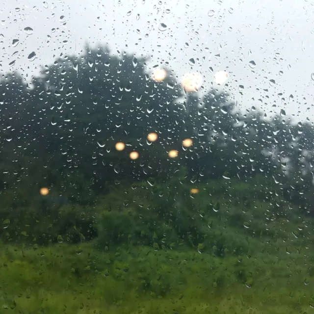 삼척언니