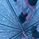 모리모리