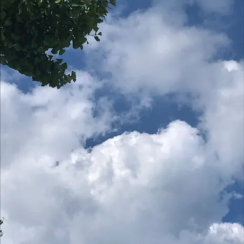 AL