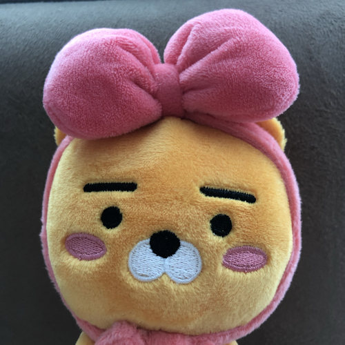 라아이어언