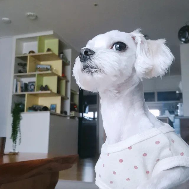 profile