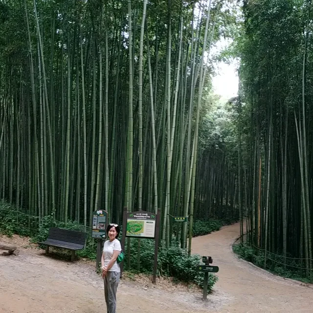 크리스퍼
