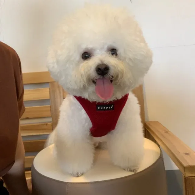 달봉이엄마